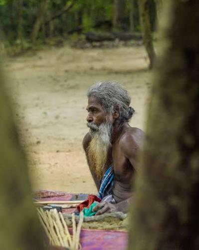 A Vedda elder sits in the forest, framed between tree trunks, near Dambana, Sri Lanka