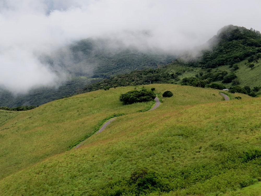 A winding road through misty grassland hills at Riverston, Sri Lanka