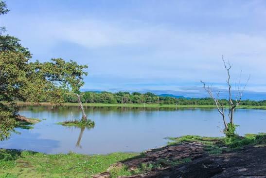 A still reservoir bordered by forest and grassland in Wasgamuwa National Park